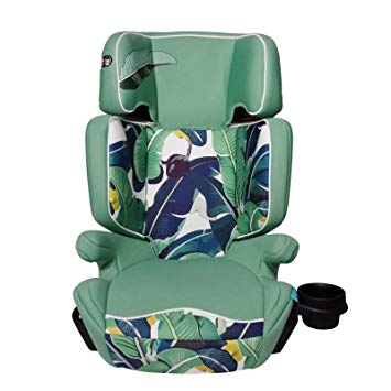 Aidia Explorer 2-in-1 Safety Booster Car Seat, Green/Blue